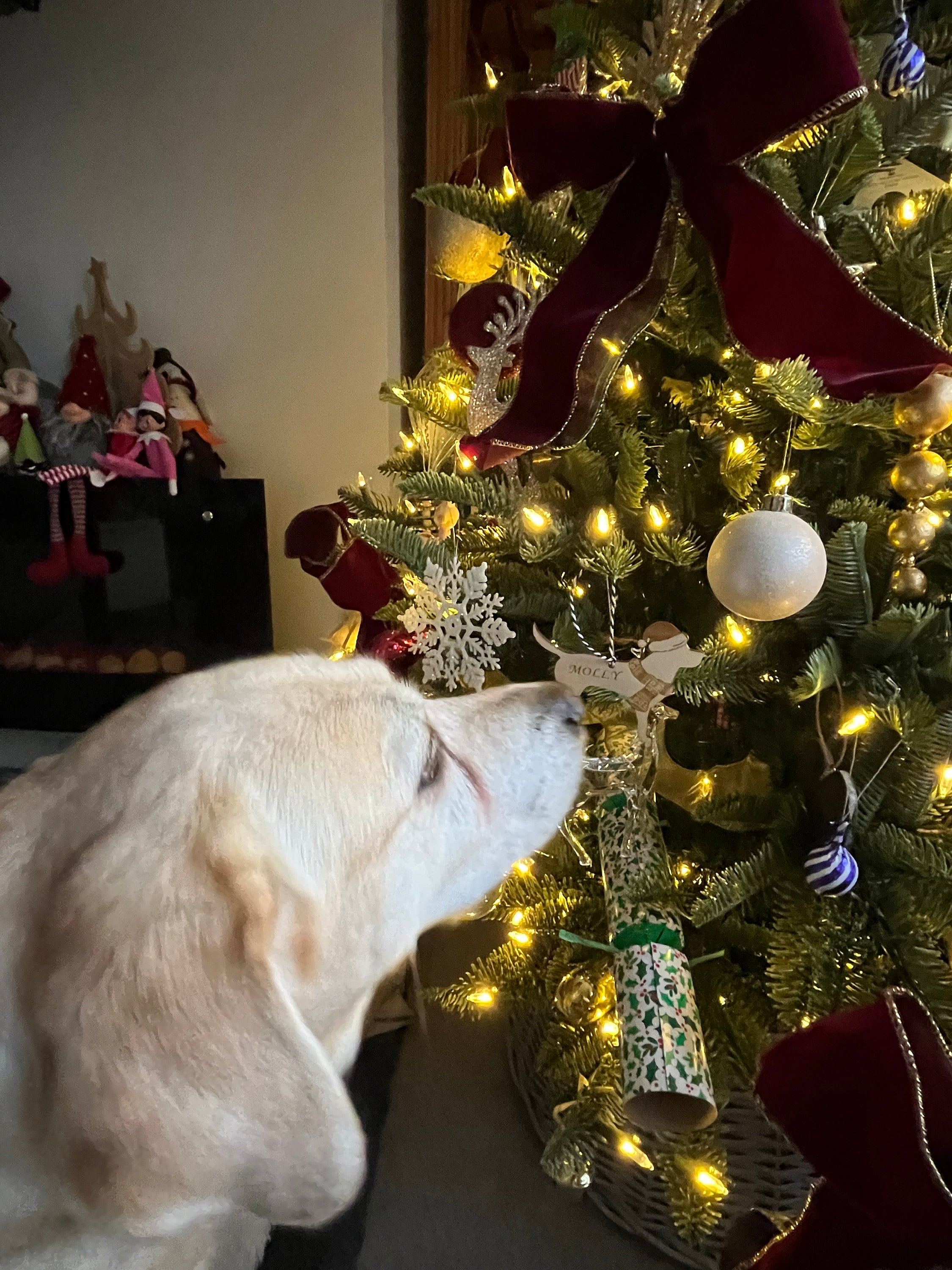 Custom Christmas Dog Decoration