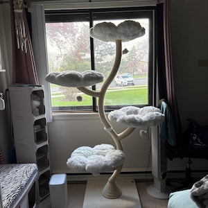 Susan added a photo of their purchase