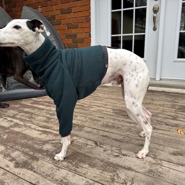 Pull En Polaire Pour Chien - Manteau D'hiver Sans Manches - Chaud Et Extensible - 7 Tailles XS à XXXL