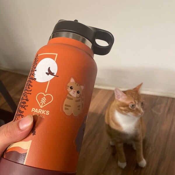 Orange Tabby Cat Vinyl Sticker for Water Bottle and Laptop, Cute Kitten ...