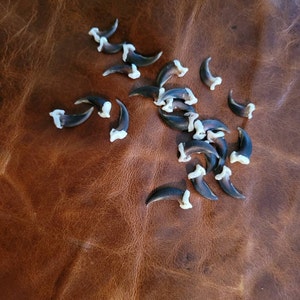 Cody added a photo of their purchase