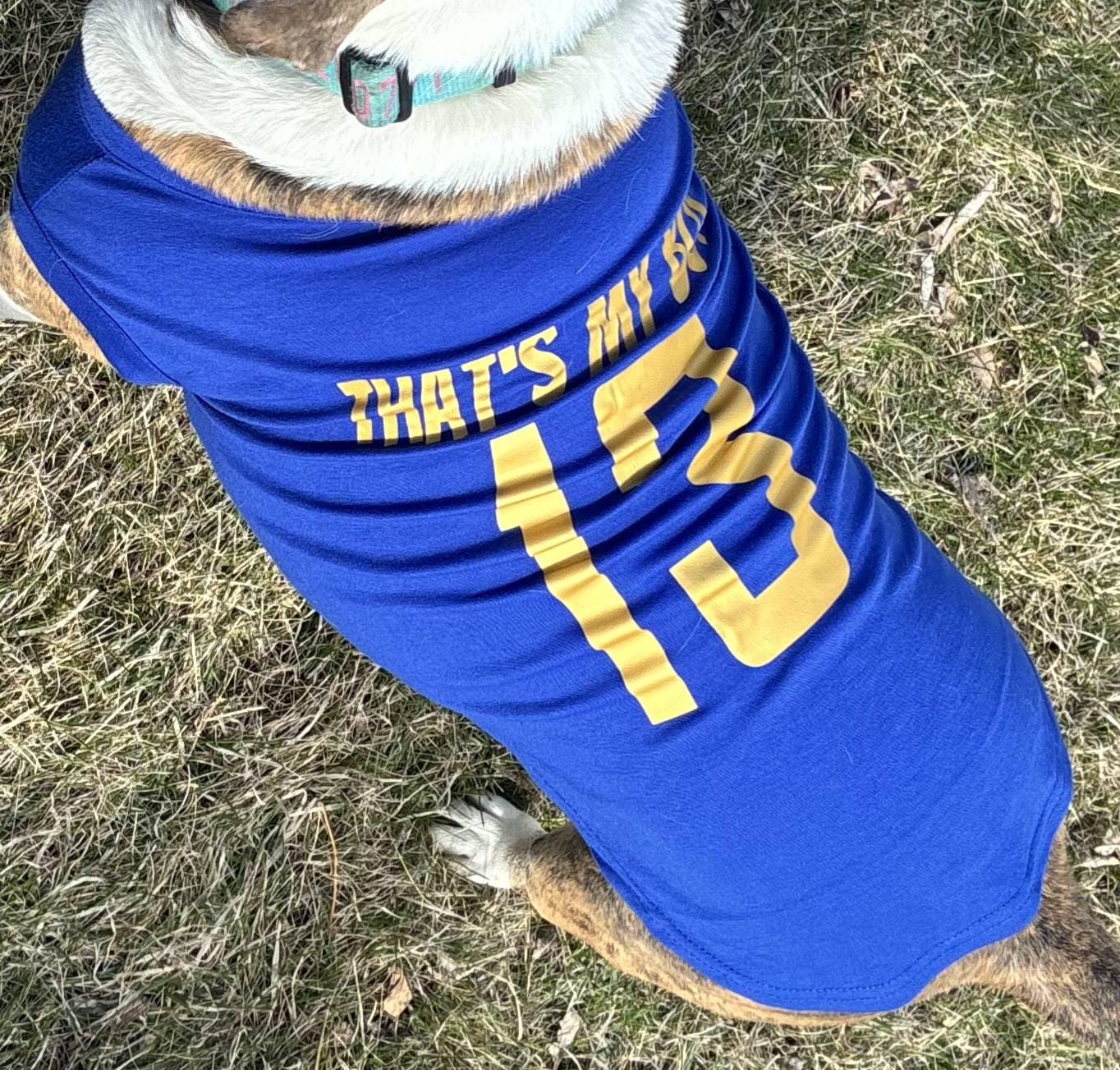Custom Sports Dog Jersey - Personalized Dog Shirt with Name & Number - Team Dog Shirt, Football, Basketball, Soccer Fan Gift, Pet Jersey