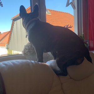 Iris ha aggiunto una foto del proprio acquisto