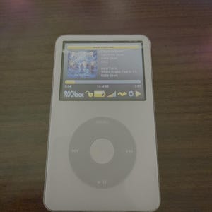 カスタマイズされたiPodビデオ第5世代、プロフェッショナル