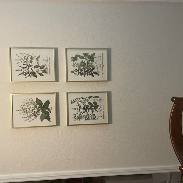 botanical herb prints set of 4 unframed botanical herb... Antique Herbs Print Set No. 29, Herb Prints, Vintage Botanical Art ...
