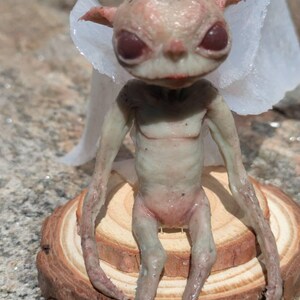 Dawg ha añadido una foto de su compra