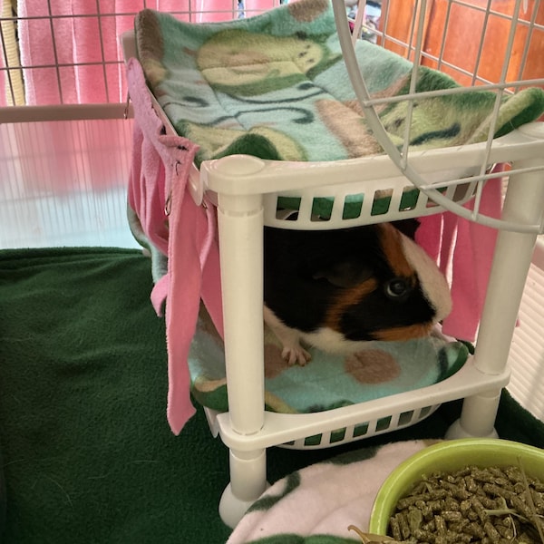 Picture of Guinea Pig Custom Fleece Cage Liner Set - Etsy