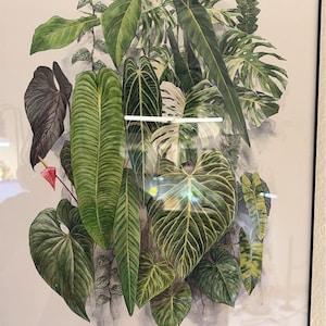 Dawn added a photo of their purchase