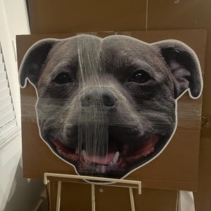 Casey added a photo of their purchase