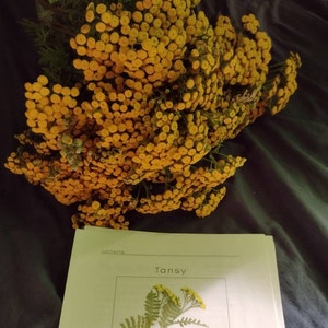 Ewa added a photo of their purchase