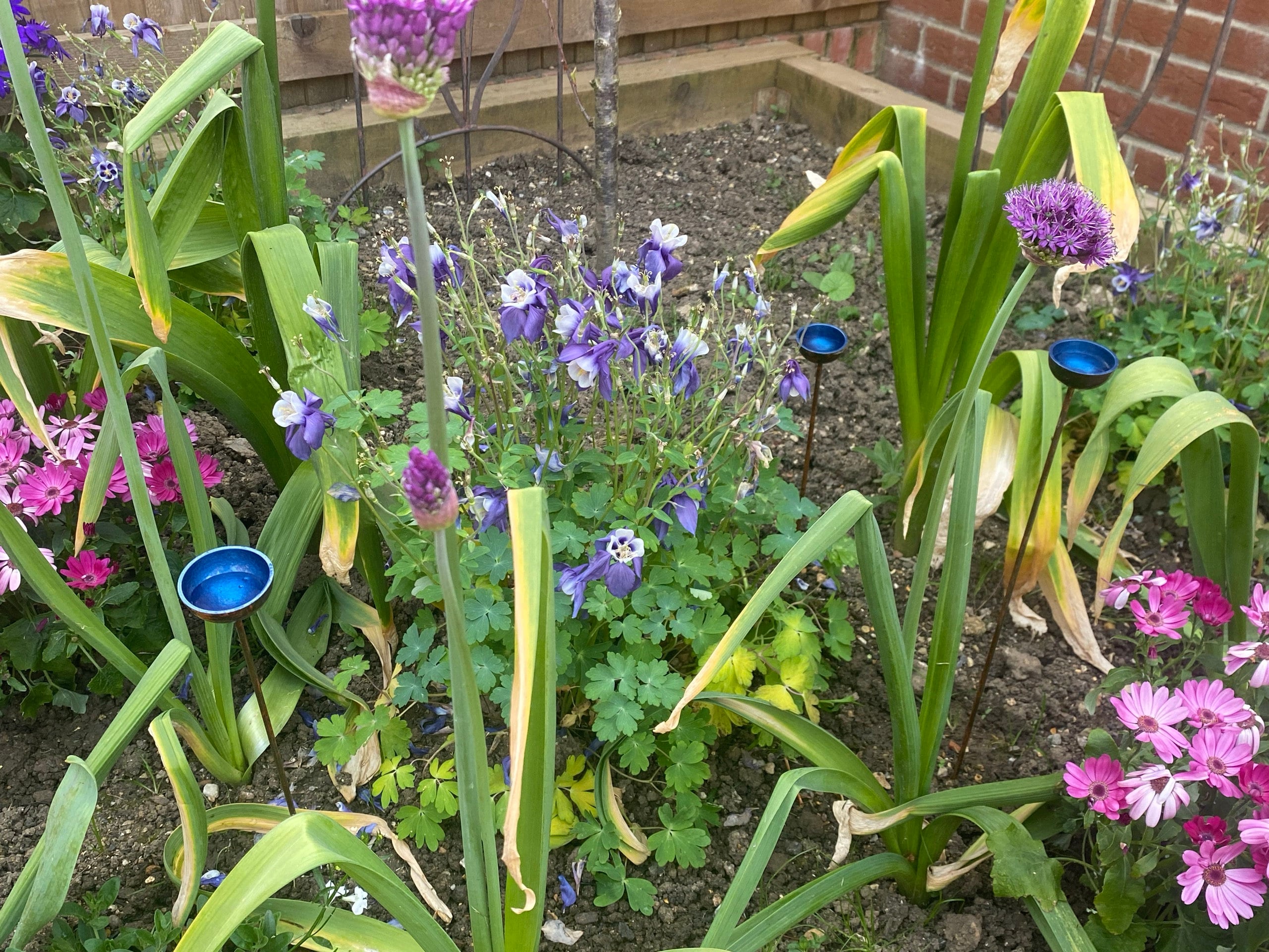 Bee Waterer, Bee Water stations, set of three cups Garden Sculpture