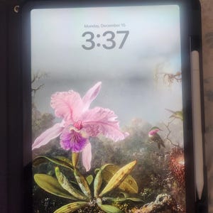 Piggy added a photo of their purchase