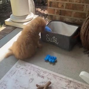 Deborah added a photo of their purchase