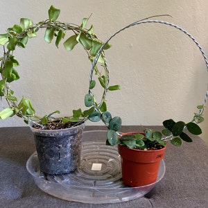 Jacki added a photo of their purchase
