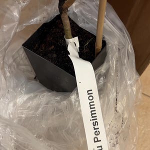 Sean added a photo of their purchase
