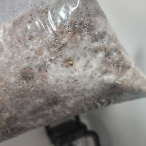 Will added a photo of their purchase