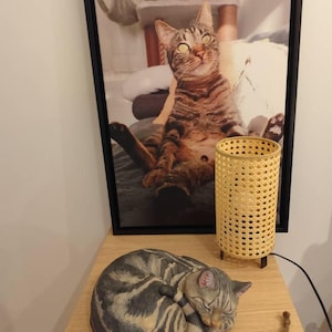 Jean-Christophe added a photo of their purchase