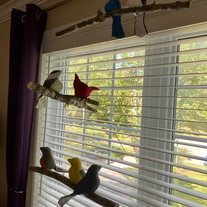 Sheila added a photo of their purchase