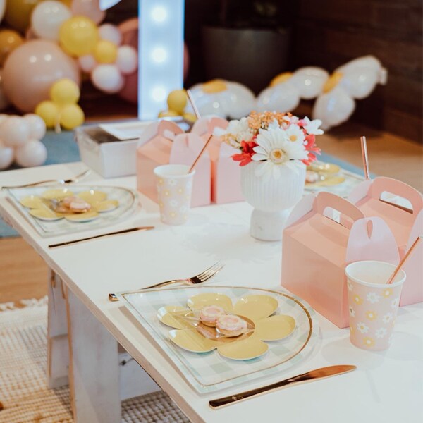 Light Pink Treat Boxes With Handle | 6 Pack | Favour Box | Gift Lolly ...