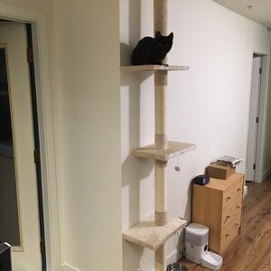 della cat tree