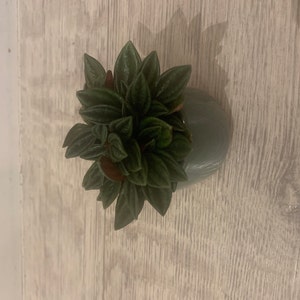 David added a photo of their purchase