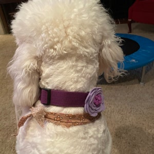 Deanna added a photo of their purchase