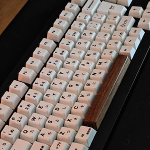 Lewis added a photo of their purchase