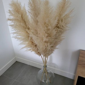 Anais added a photo of their purchase