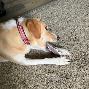 Karen added a photo of their purchase