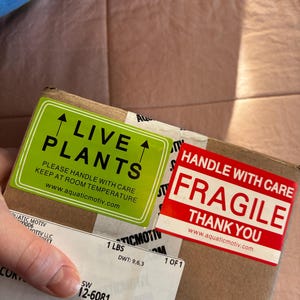 Savy added a photo of their purchase