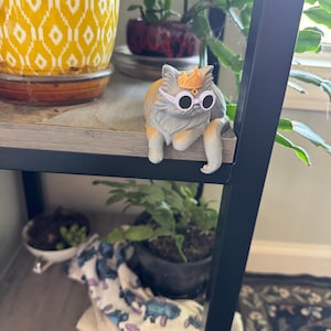 Shannon added a photo of their purchase