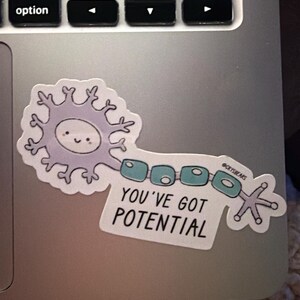 Savvy added a photo of their purchase
