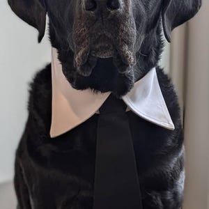 Carrie dodał(a) zdjęcie swoich zakupów