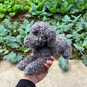 Aldin added a photo of their purchase