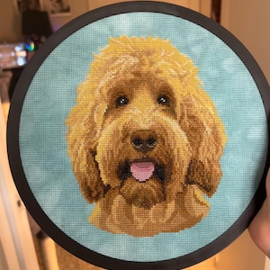 Haley added a photo of their purchase
