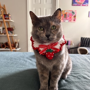 Lola added a photo of their purchase