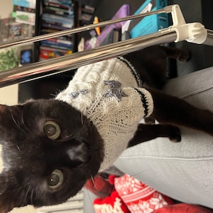 juleslife added a photo of their purchase
