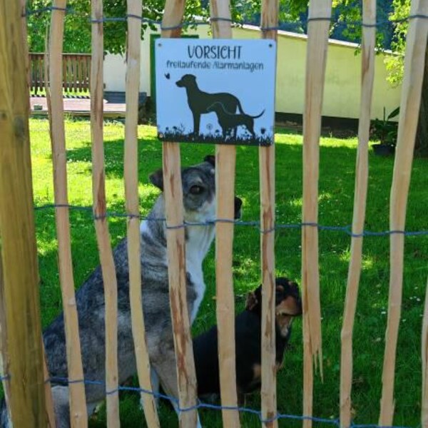 Normaluz Hundewarnschild 'Vorsicht!' – PVC-Schild 21x30 Cm Für Gartenzaun & Haustür