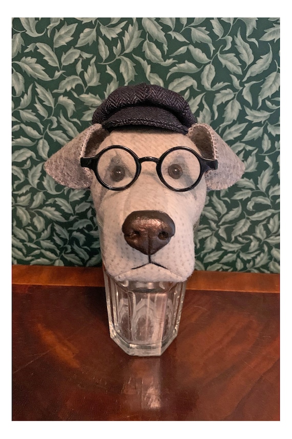 Customer photo of a pet with the Newsboy Cap  for small pet Hedgehog Vogue