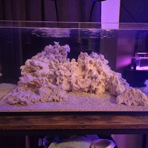 James added a photo of their purchase