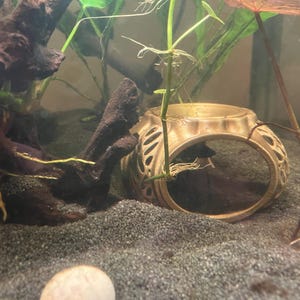 Elysia added a photo of their purchase