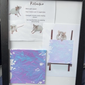 Kaitlin ha aggiunto una foto del proprio acquisto