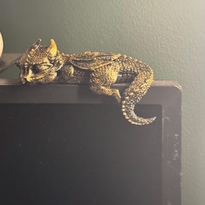 Holly added a photo of their purchase