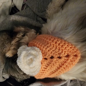 Ashley ha añadido una foto de su compra