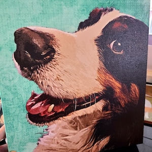 Amy Neal added a photo of their purchase