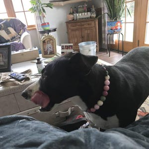 vickie added a photo of their purchase