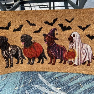 Heather ha añadido una foto de su compra