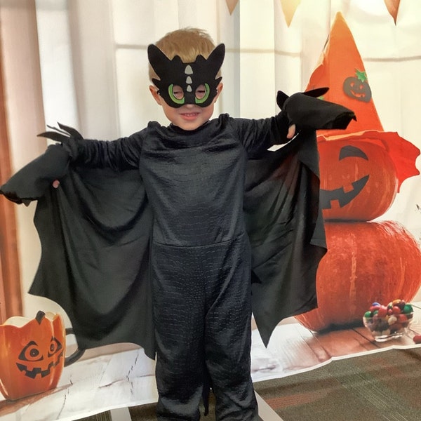Toothless Nightfury Glow in the Dark Wings and Mask Set