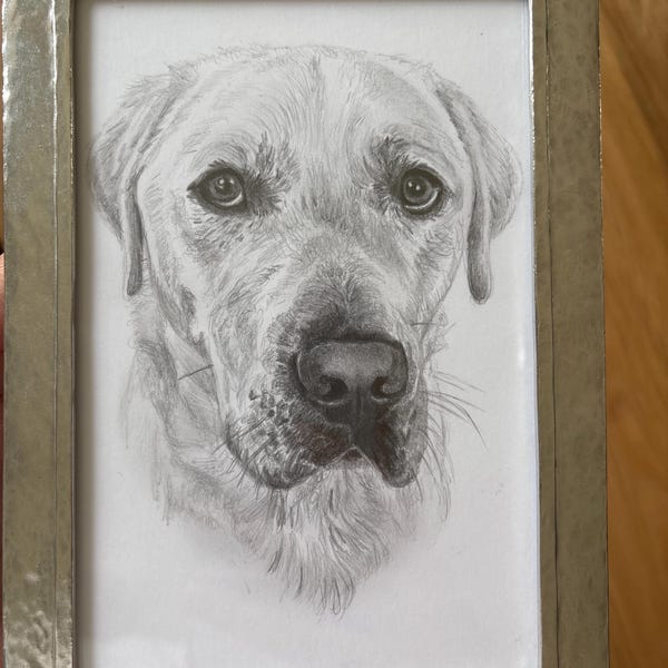 Custom Pet Portrait Sketch From Photo Hand Drawn Dog Cat Horse Gift ...