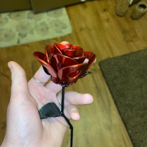Briana さんが購入した商品の写真を追加しました